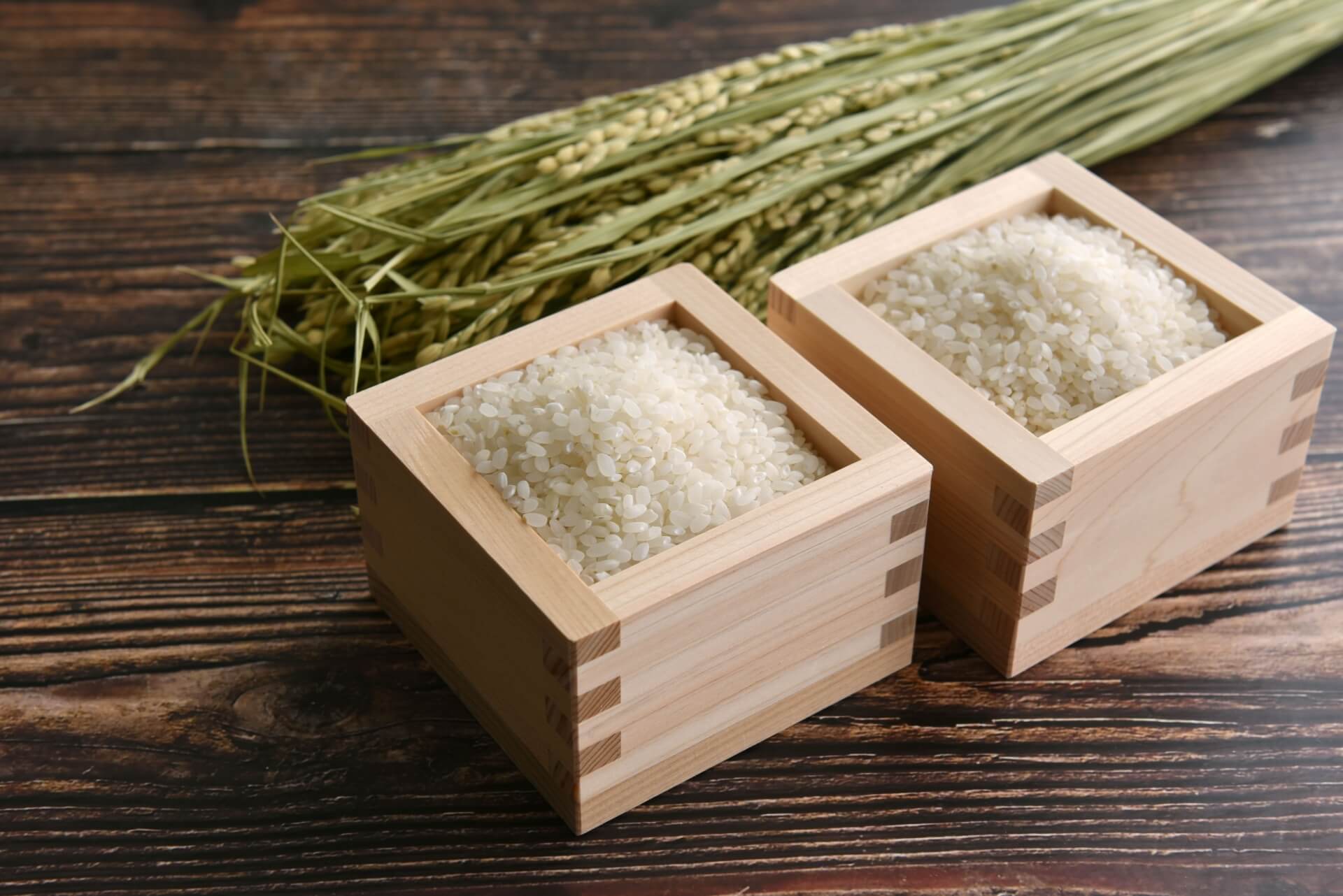 お米の品種紹介