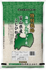 富山県海藻アルギット米 こしひかり
